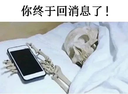 你终于回消息了!