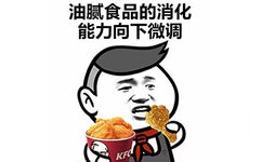 油腻食品的消化能力向下微调 - 检测到你的人生有了新版本