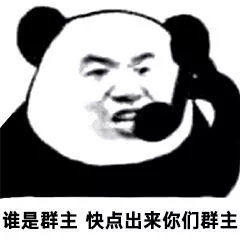 谁是群主快点出来你们群主(你们这是什么群啊)