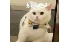 那我走(猫咪表情包)