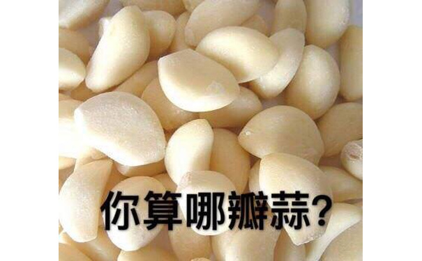 你算哪瓣蒜？ - 你算个什么东西？