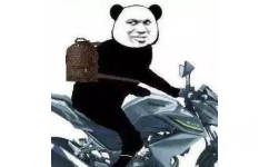 熊猫人背 LV背包骑摩托