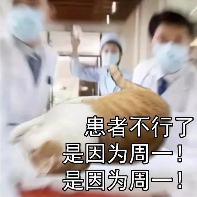 患者不行了是因为周一！是因为周一！(猫猫表情包)