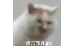 痛苦面具jpg(猫咪表情包)