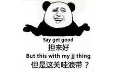 担来好（say get good），但是这关哇浪逼？（but this with my jj thing） - 熊猫人说潮汕话