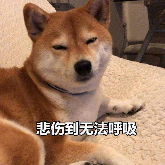 悲伤到无法呼吸 - 一组柴犬表情包