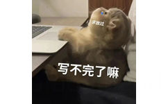 求放过写不完了嘛(猫猫表情包)