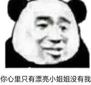 你心里只有漂亮小姐姐没有我（熊猫头表情包）