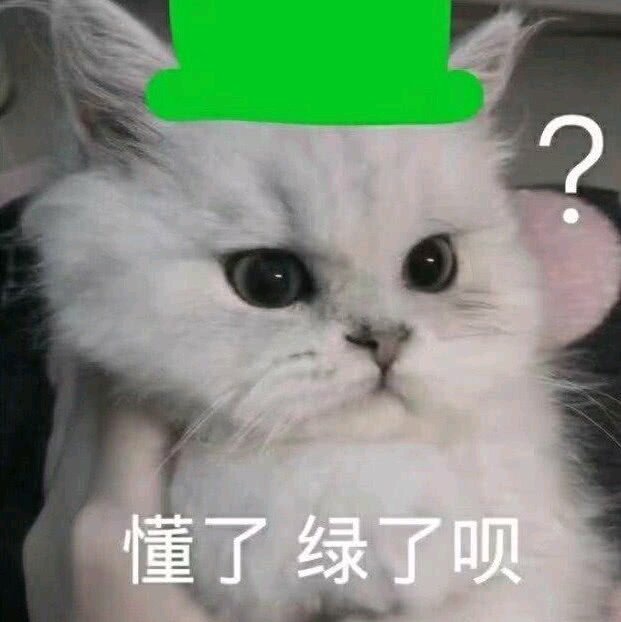 懂了 绿了呗（猫咪绿帽子）