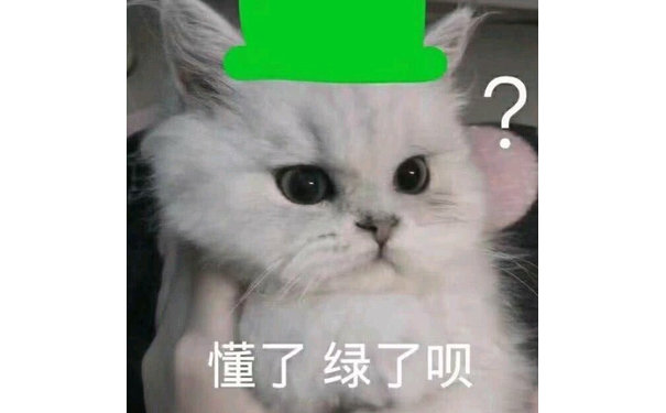 懂了 绿了呗（猫咪绿帽子）