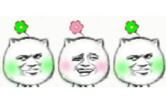 三朵小花 - 猥琐猫一朵小花表情