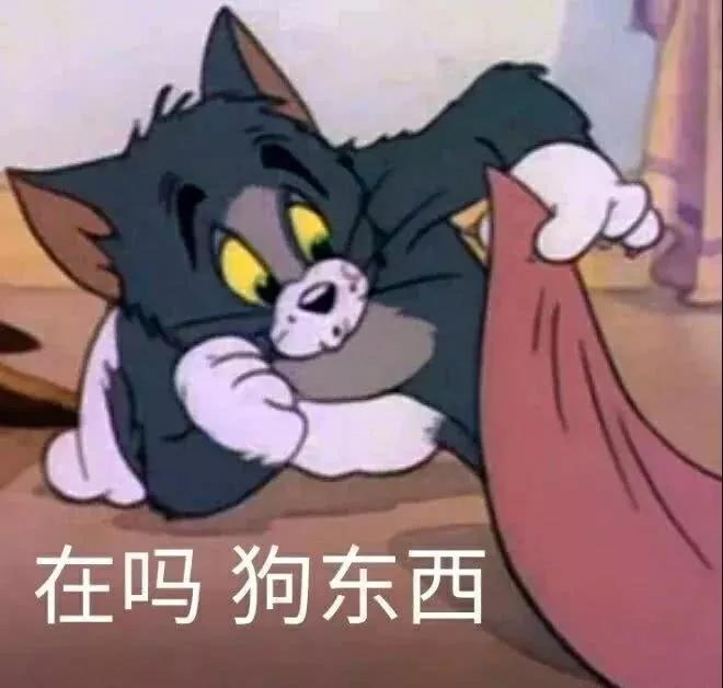 在吗狗东西