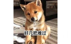 好几把难过 - 一组柴犬doge微信表情