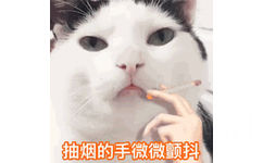 抽烟的额手微微颤抖（猫咪抽烟 GIF 动图）