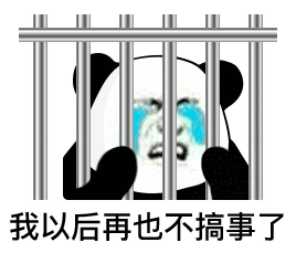 我以后再也不搞事了