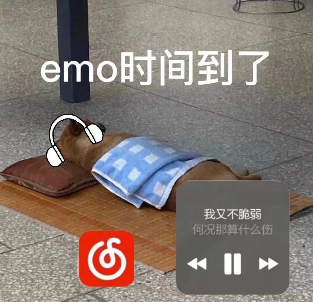 emo时间到了我又不脆弱何况那算什么伤⑤