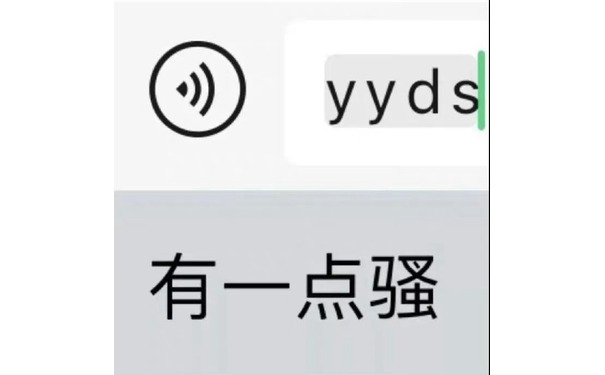 yyds有一点骚