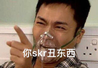 你 skr 丑东西