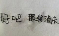 好吧那我消失(手写字体表情包)