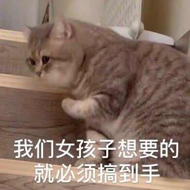 我们女孩子想要的就必须搞到手 - 猫猫表情包 ​