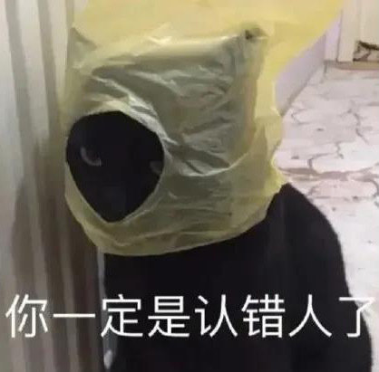 你一定是认错人了