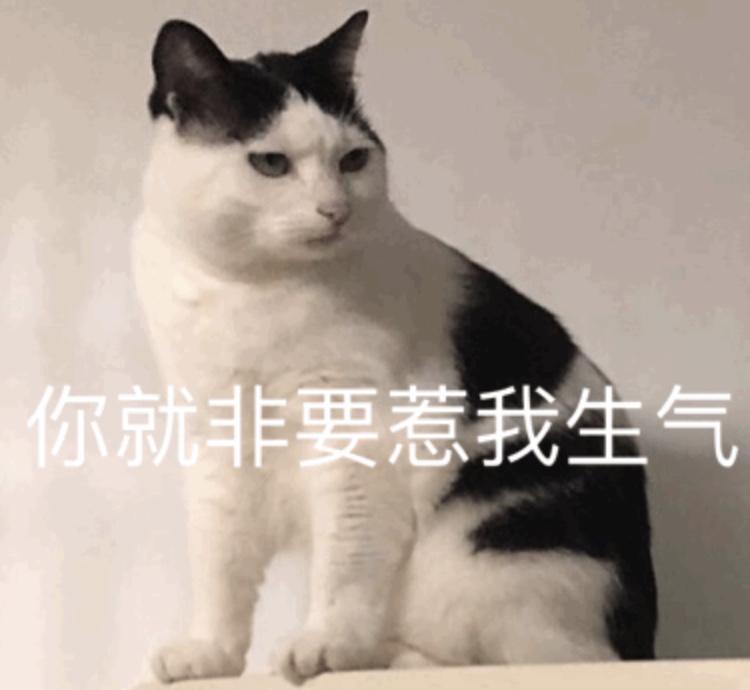 你就非要惹我生气 - 可耐猫咪表情包系列