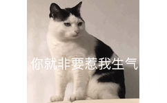 你就非要惹我生气 - 可耐猫咪表情包系列