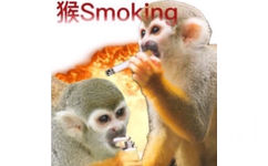 猴Smoking - 猴猴表情包