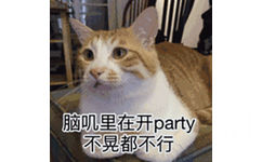 脑叽里在开 party不晃都不行(猫咪 GIF 动图)