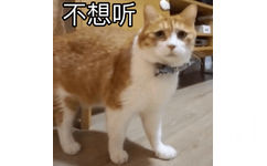 不想听（猫咪走开 GIF）