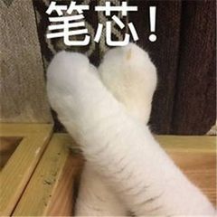 笔芯!(猫咪腿比心)