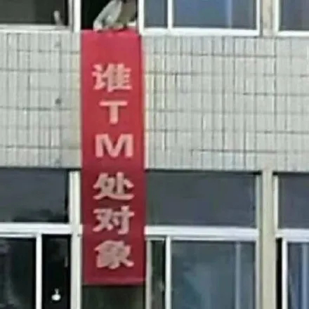 谁 TM 要处对象 - 涂鸦/标语表情包