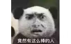 竟然有这么棒的人