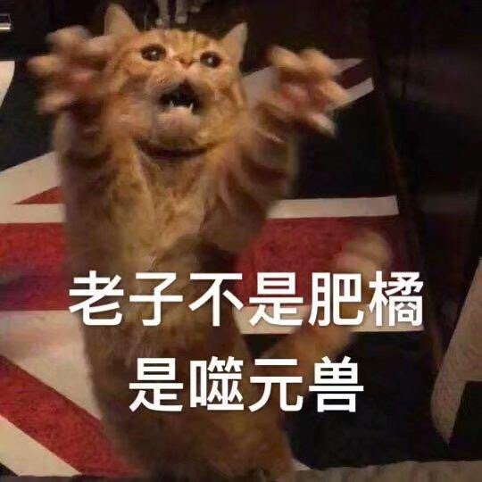 老子不是肥橘，是噬元兽 - 《惊奇队长》 噬元兽橘猫表情包