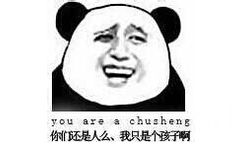 你们还是人么，我只是个孩子啊（you are a chusheng） - 我从来不骂人，但是被我骂的都不是人（熊猫人装逼表情）