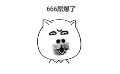 666屌爆了 - 白色猫脸