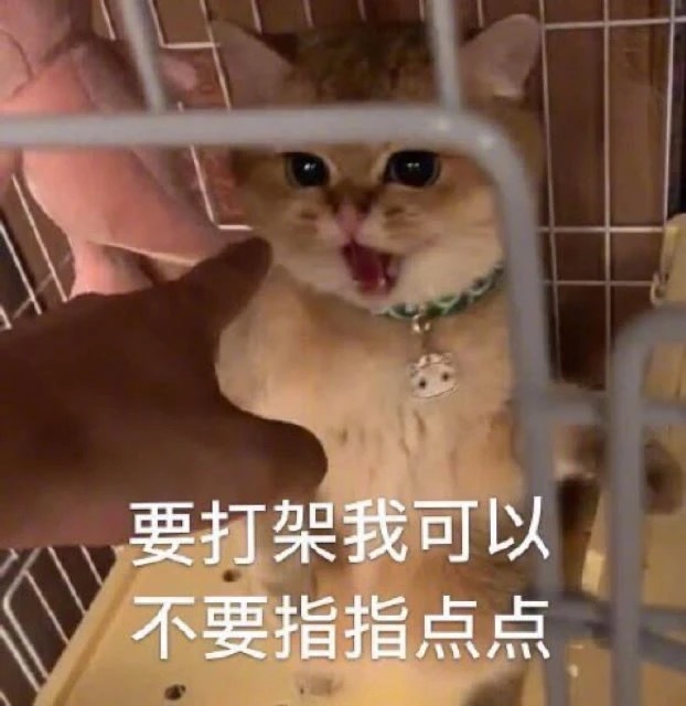 要打架我可以不要指指点点(猫咪表情包) - 猫咪骂骂咧咧表情包