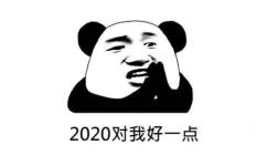 2020对我好一点(熊猫头表情包)