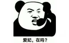 爱妃,在吗?(熊猫头表情包)