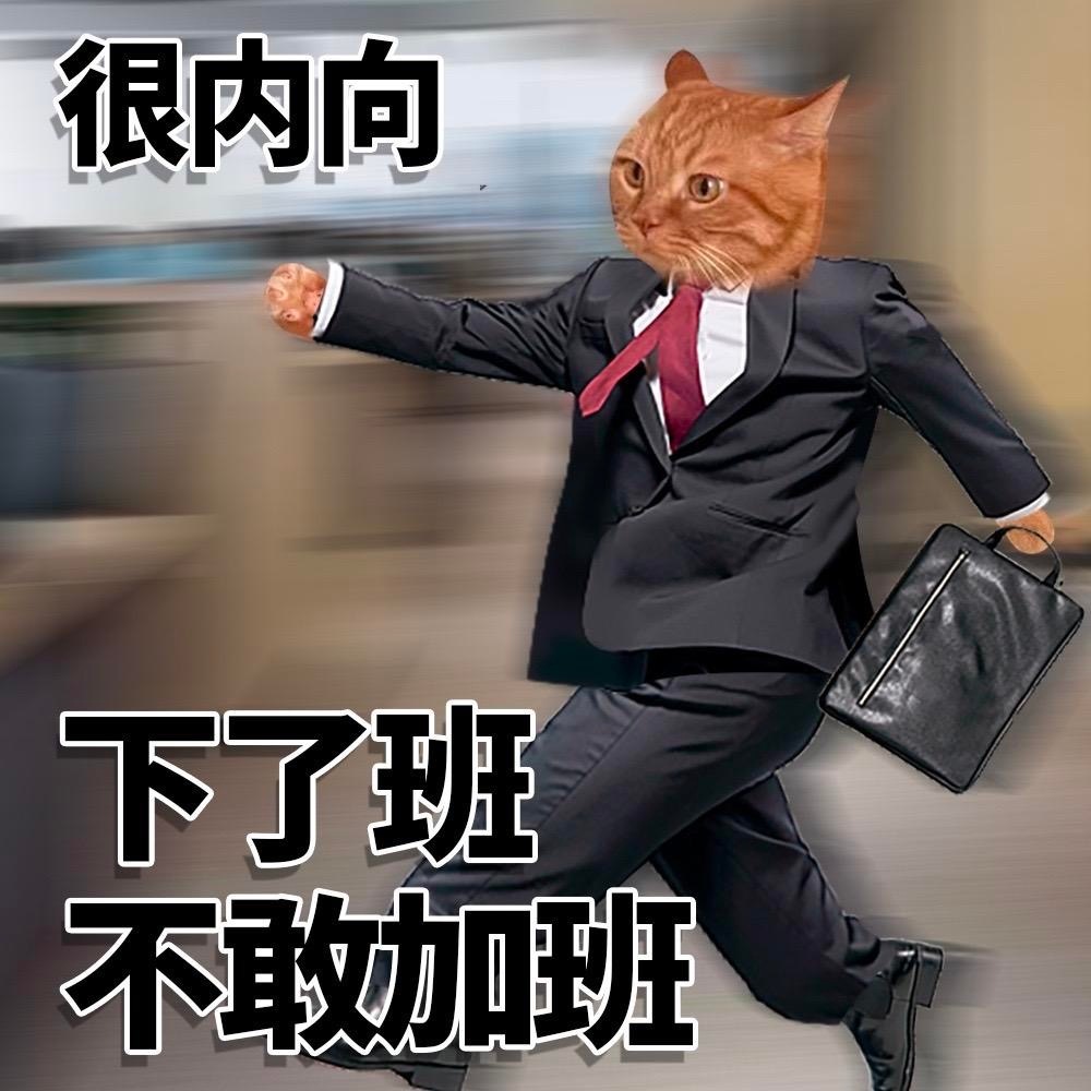 很内向下了班不敢加班 - 很内向很外向猫猫表情包