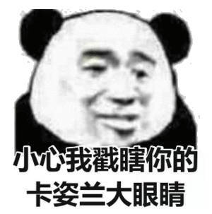 小心我戳瞎你的卡姿兰大眼睛