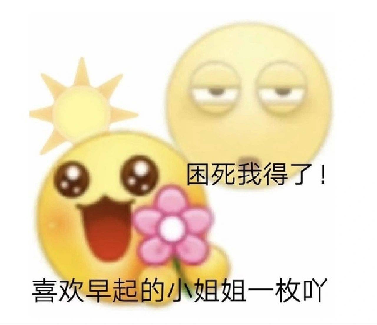 困死我得了！喜欢早起的小姐姐一枚吖