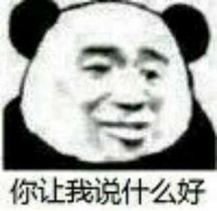 你让我说什么好(熊猫头表情包)