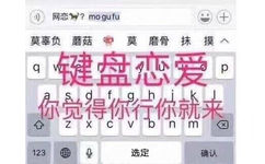 键盘恋爱，你觉得你行你就来！（网恋吗？莫辜负）