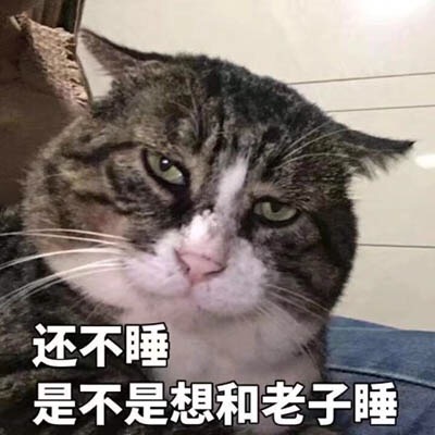 还不睡是不是想和老子睡