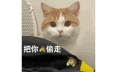 把你马偷走 猫咪表情包