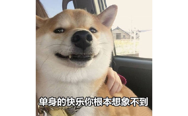 单身的快乐你根本想象不到（doge）