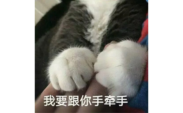 我要跟你手牵手 - 一组萌萌的小猫咪表情包