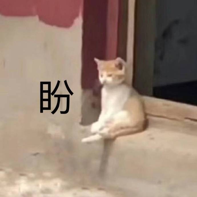 盼(猫咪表情包)