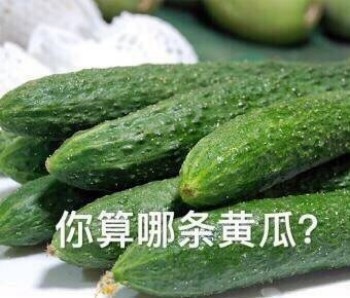 你算哪条黄瓜? - 好好看看，你算个啥？